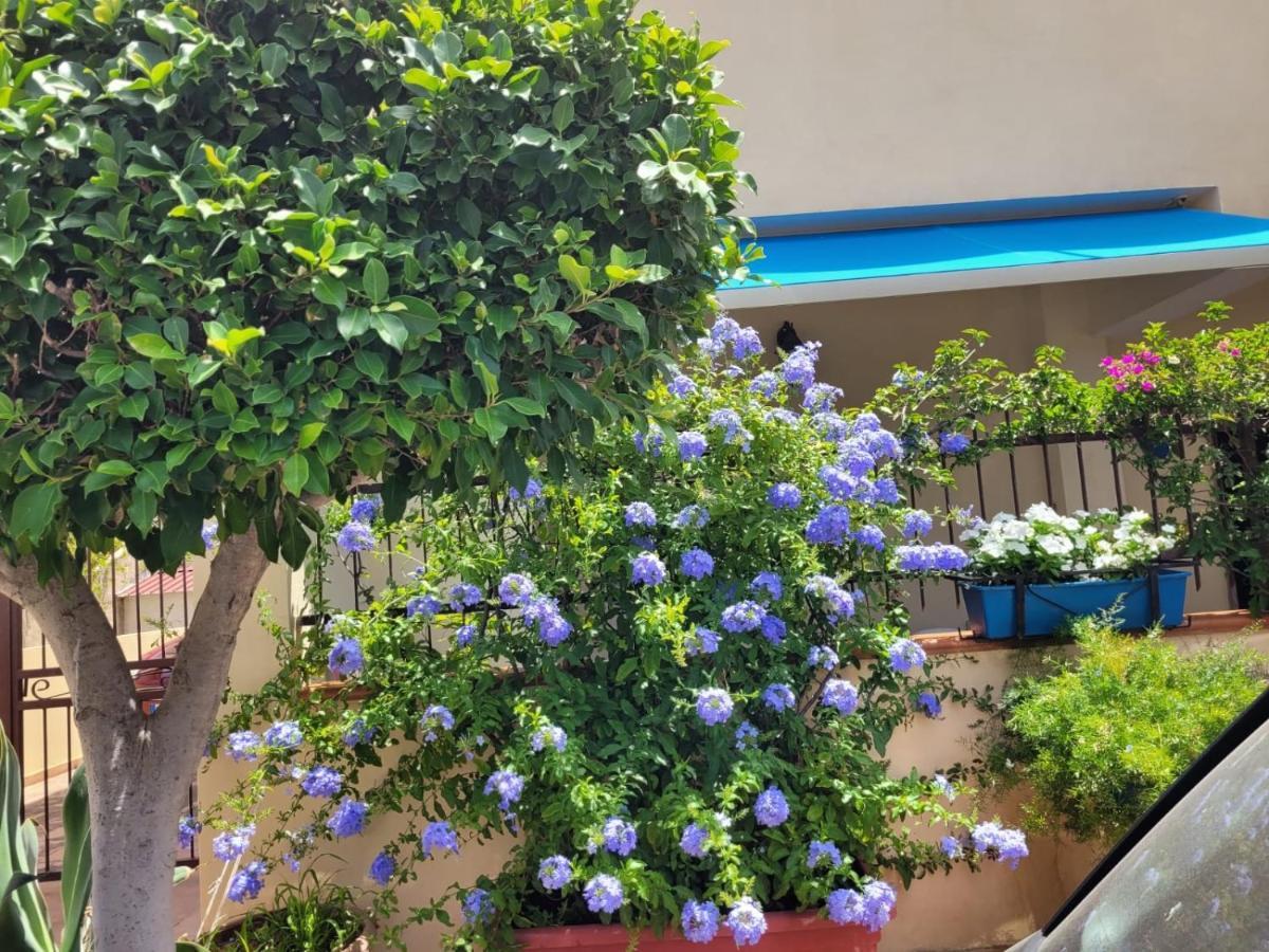 My Little House - Appartamento Con Patio E Parcheggio Privato A 5 Minuti Dalla Spiaggia E Dal Centro Tropea Exteriör bild